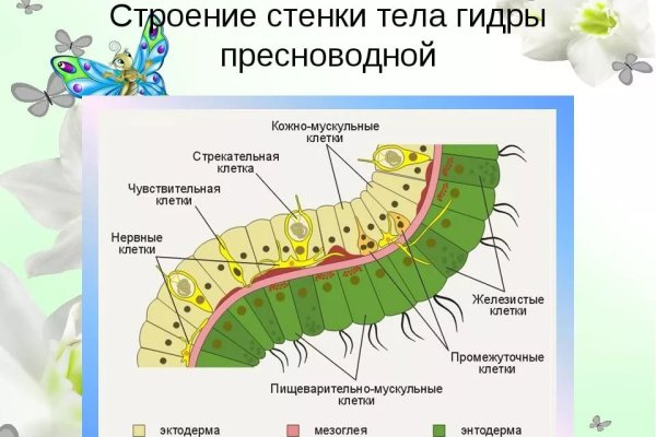 Купить наркотики через кракен