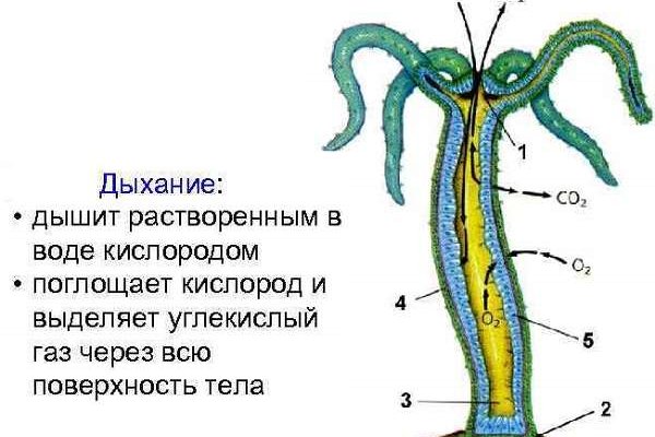 Ссылка на магазин кракен